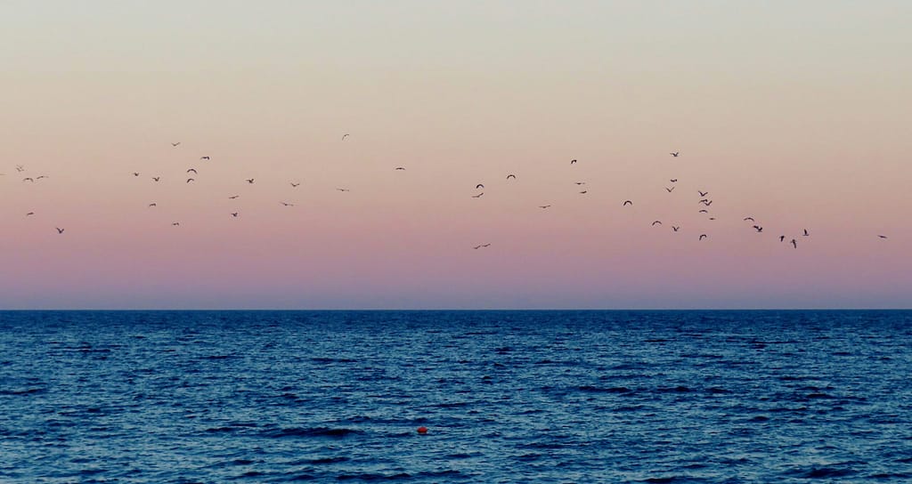 World Oceans Day 2025: 10 Ways I'm Giving Back Clean blue ocean with sunlight, symbolizing hope for World Oceans Day