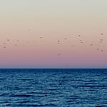 Clean blue ocean with sunlight, symbolizing hope for World Oceans Day